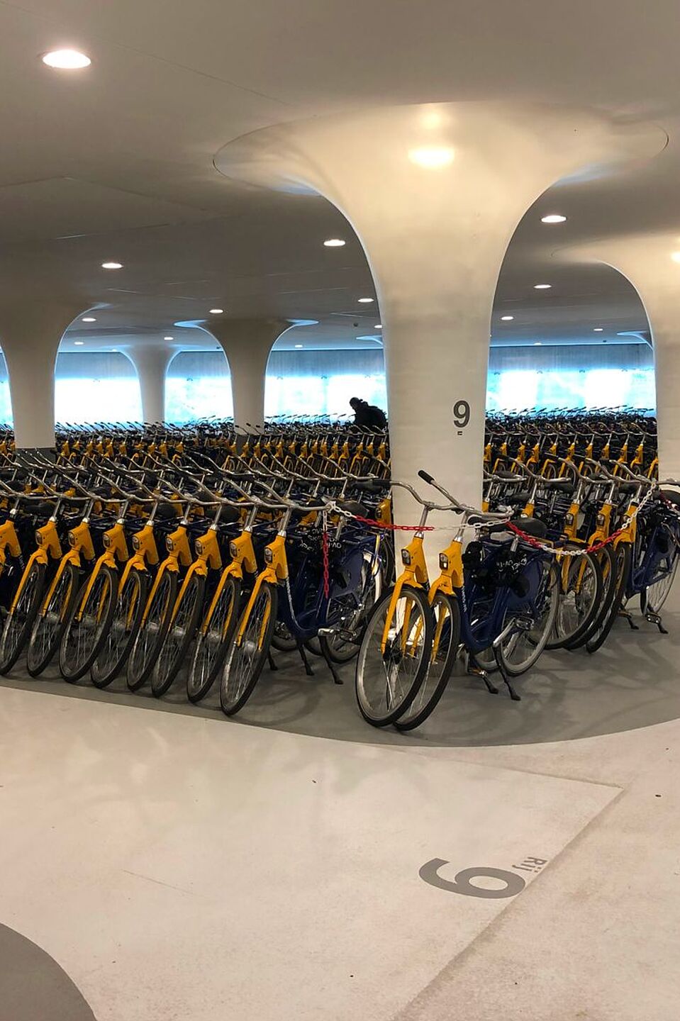 Öffentliche Leihräder in Utrecht Öffentliche Leihräder in Utrecht